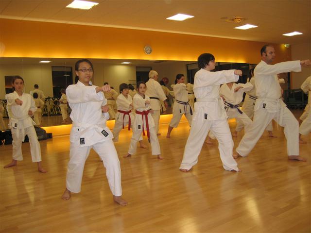 image of karate group