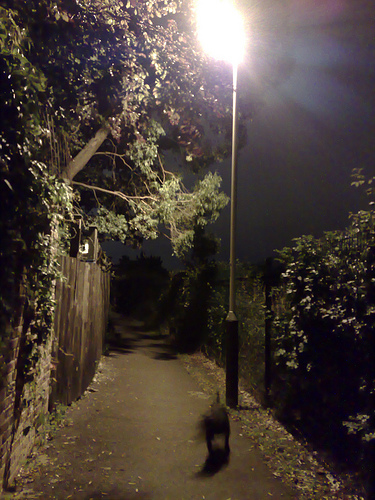 image of karate group